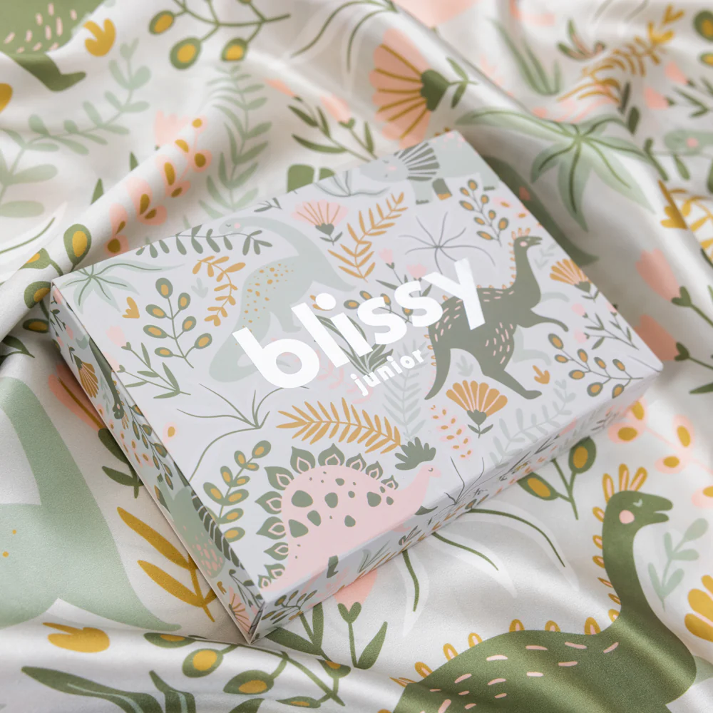 Pillowcase - Dinosaur - Youth - Image 10